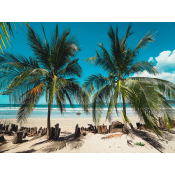Playa Tamarindo (0)